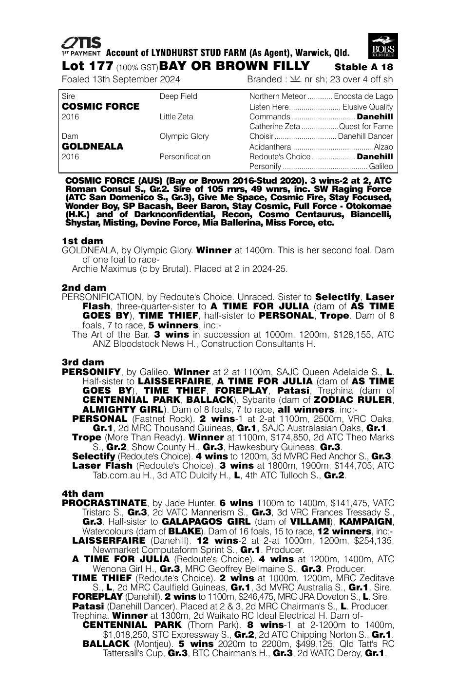 Pedigree - Lot 177