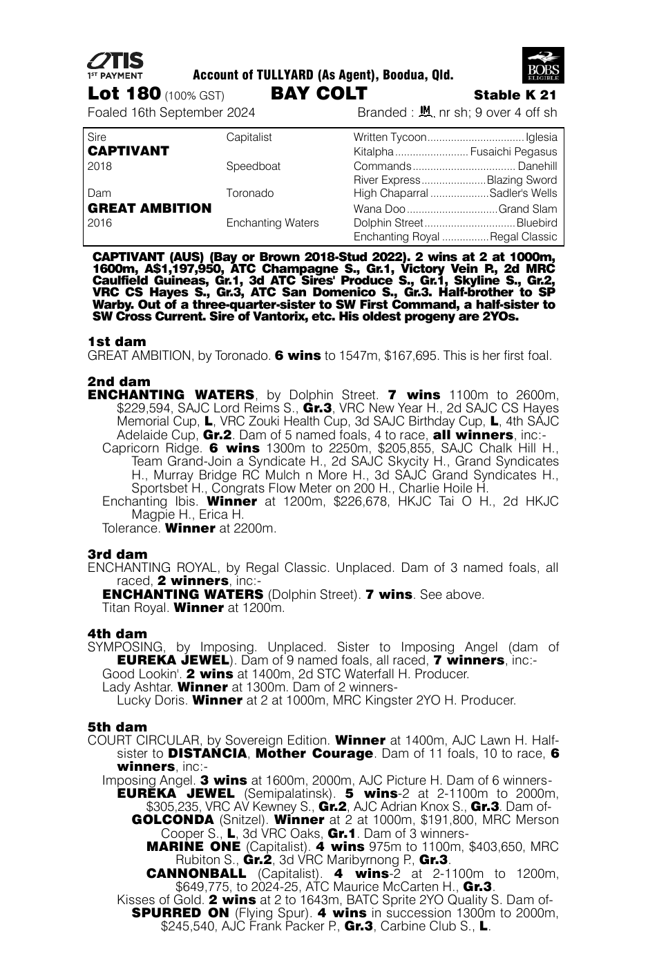 Pedigree - Lot 180