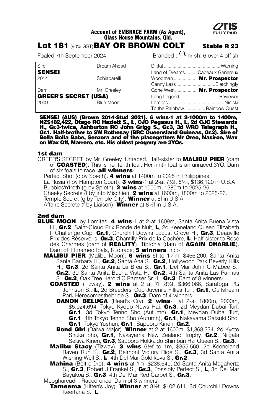Pedigree - Lot 181