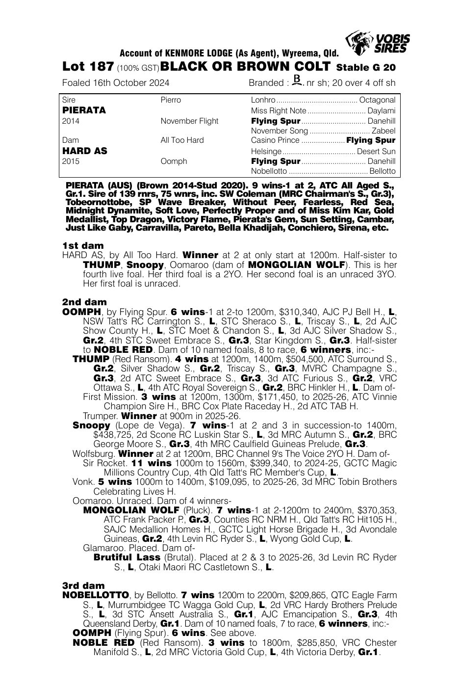 Pedigree - Lot 187