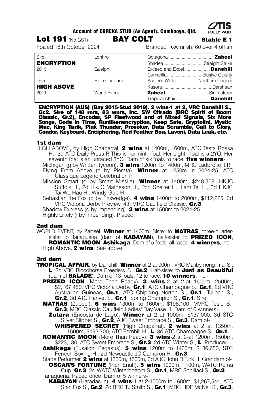 Pedigree - Lot 191