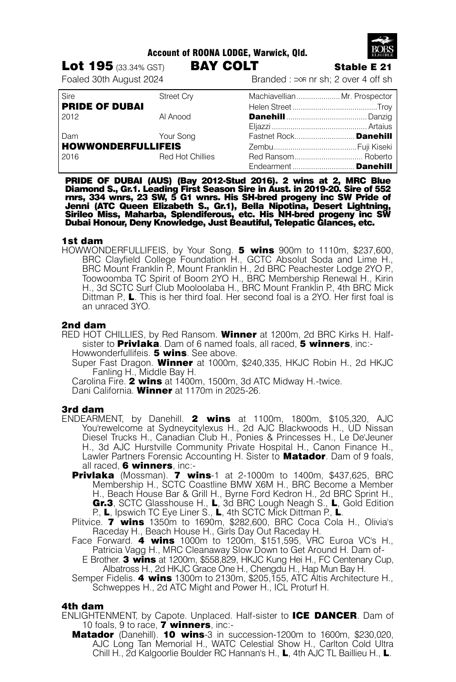 Pedigree - Lot 195