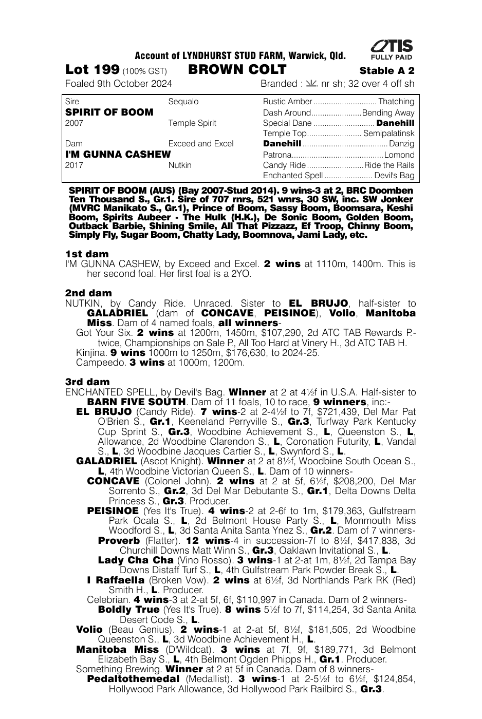 Pedigree - Lot 199