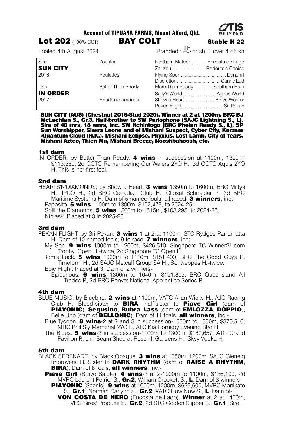 Pedigree - Lot 202
