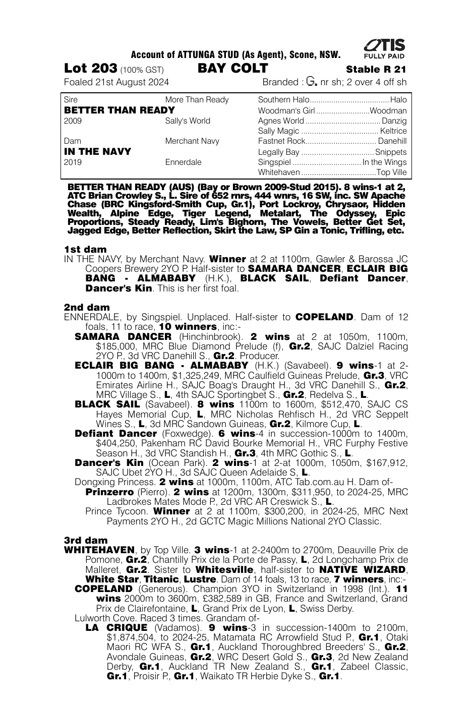 Pedigree - Lot 203