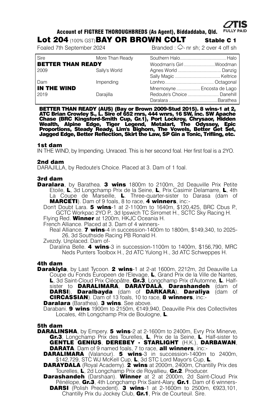 Pedigree - Lot 204