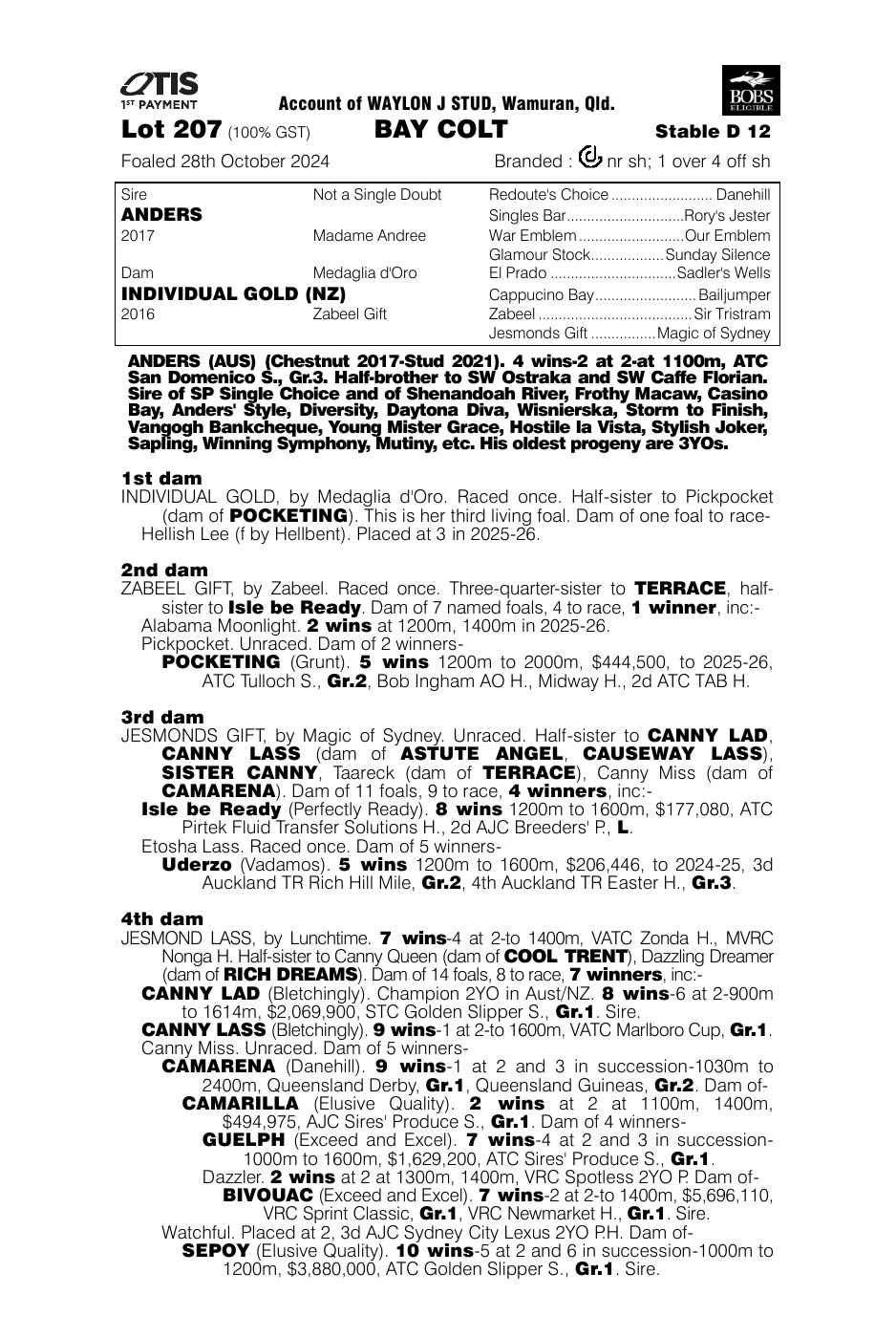 Pedigree - Lot 207