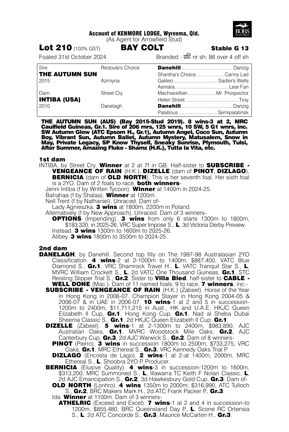 Pedigree - Lot 210