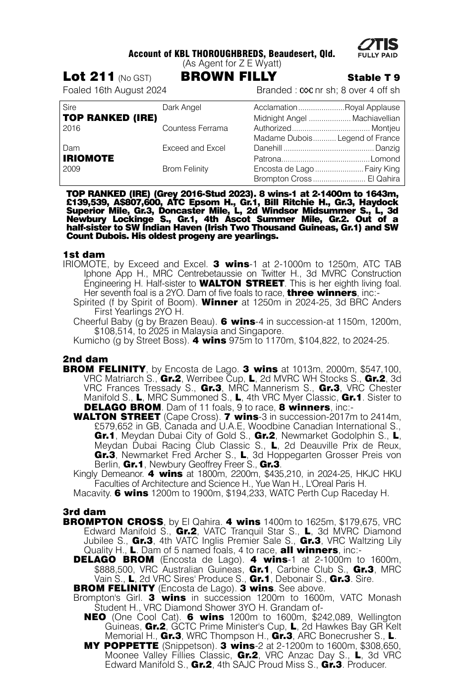 Pedigree - Lot 211