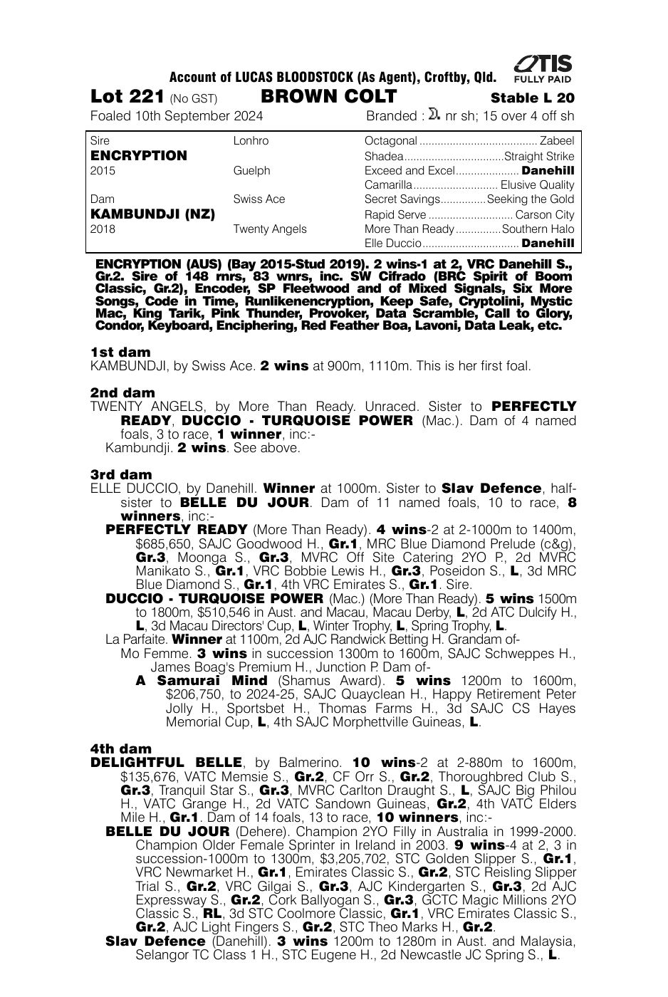 Pedigree - Lot 221