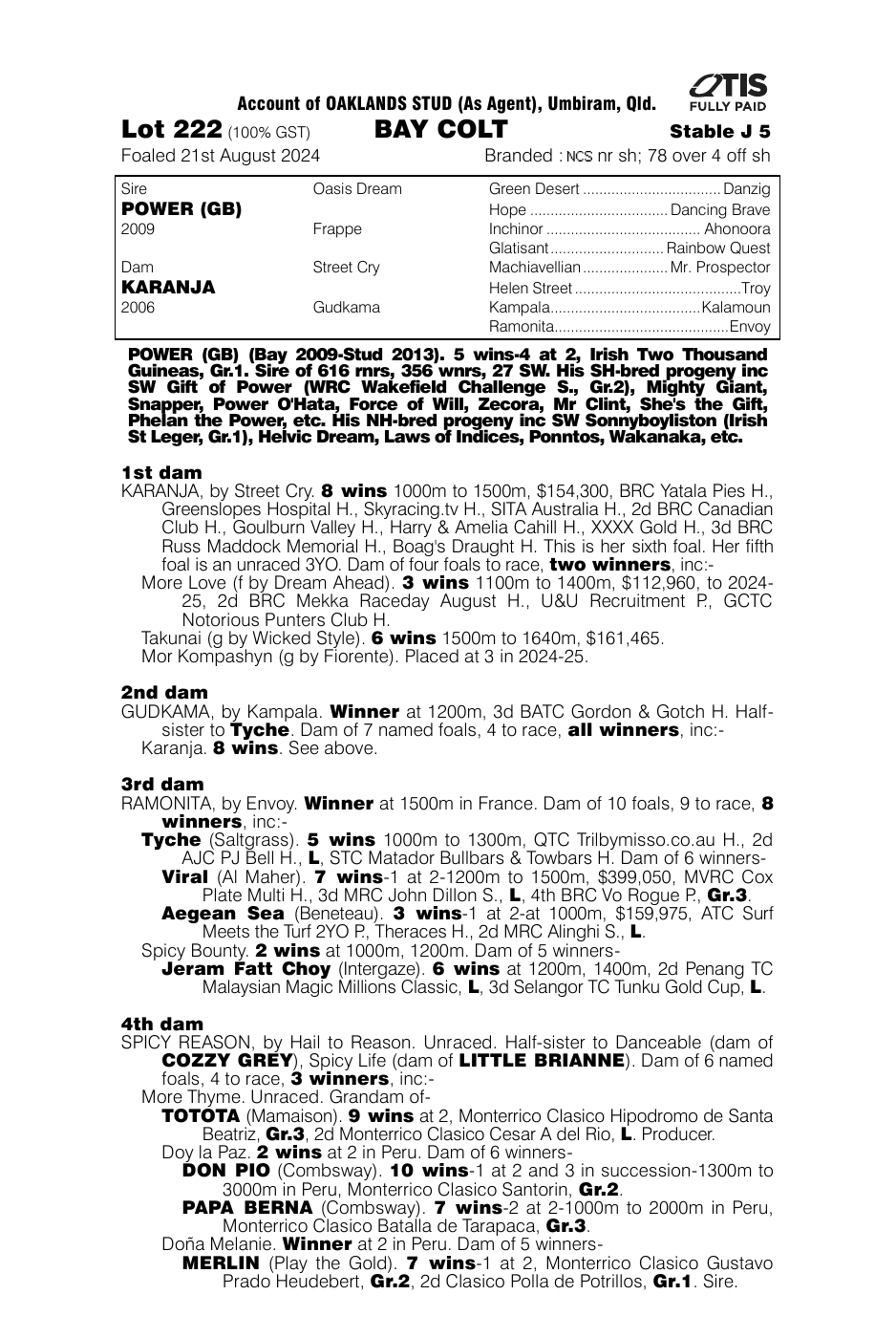 Pedigree - Lot 222