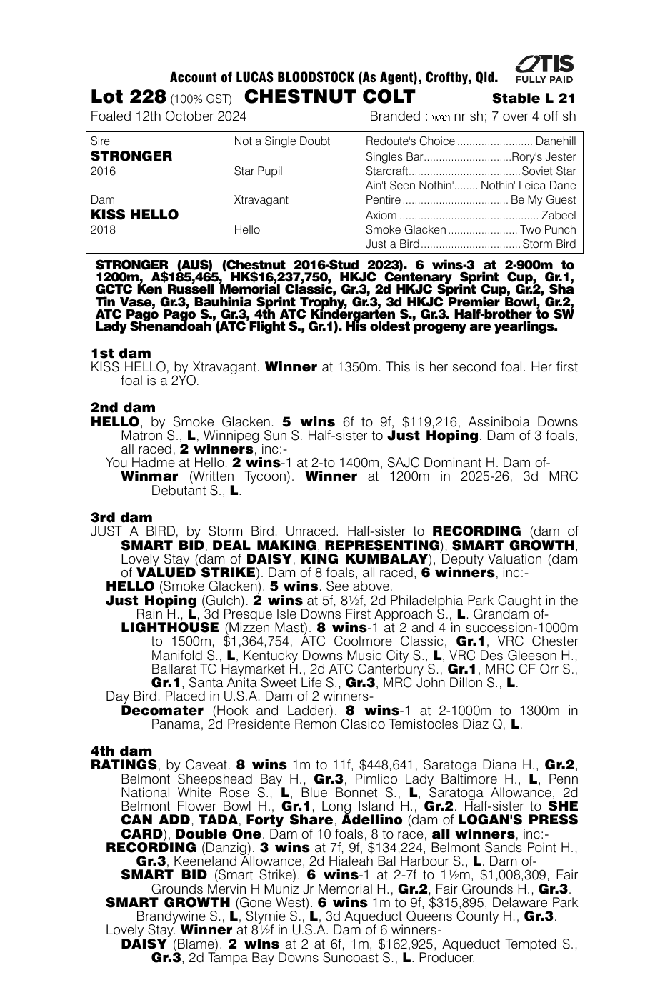 Pedigree - Lot 228