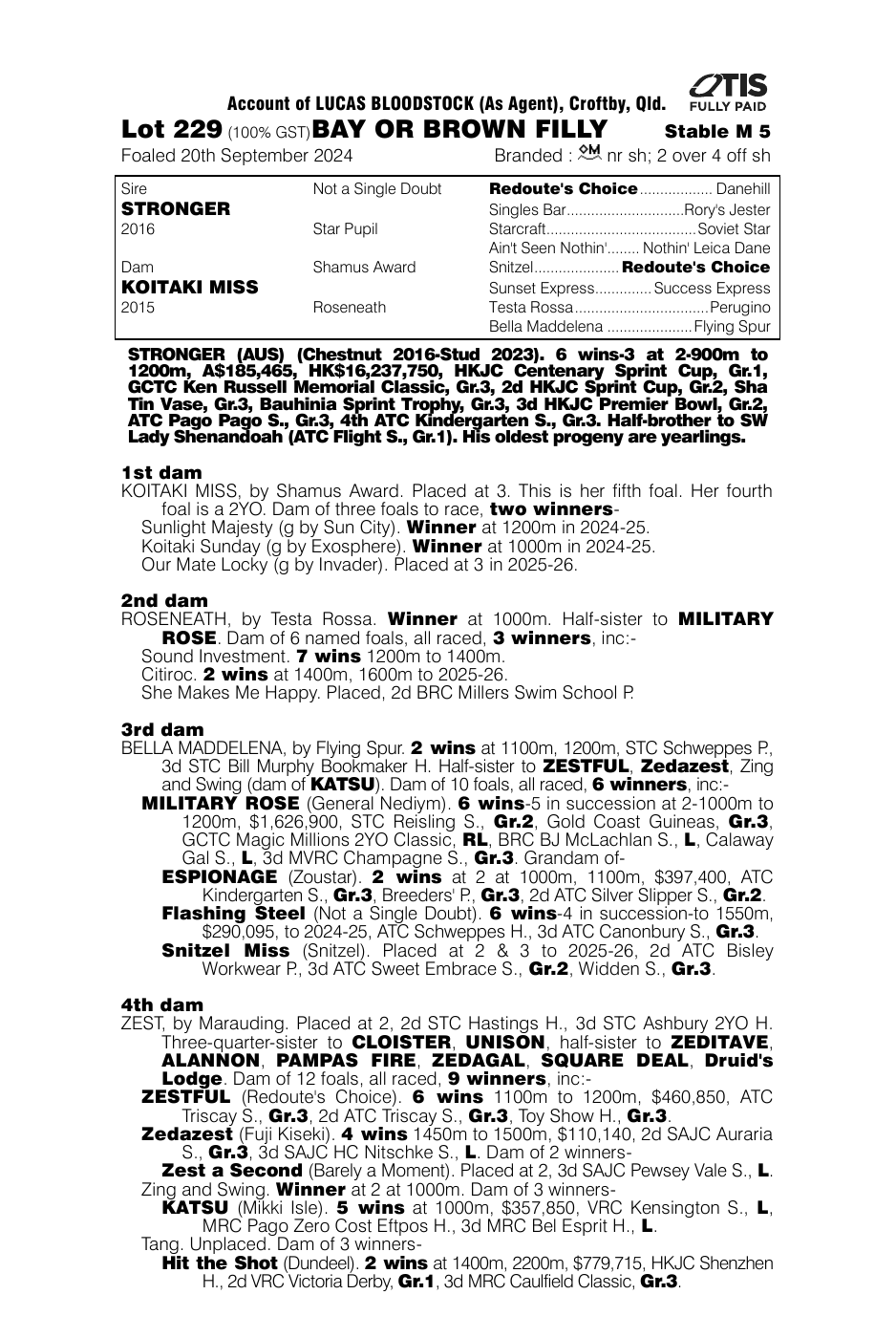 Pedigree - Lot 229