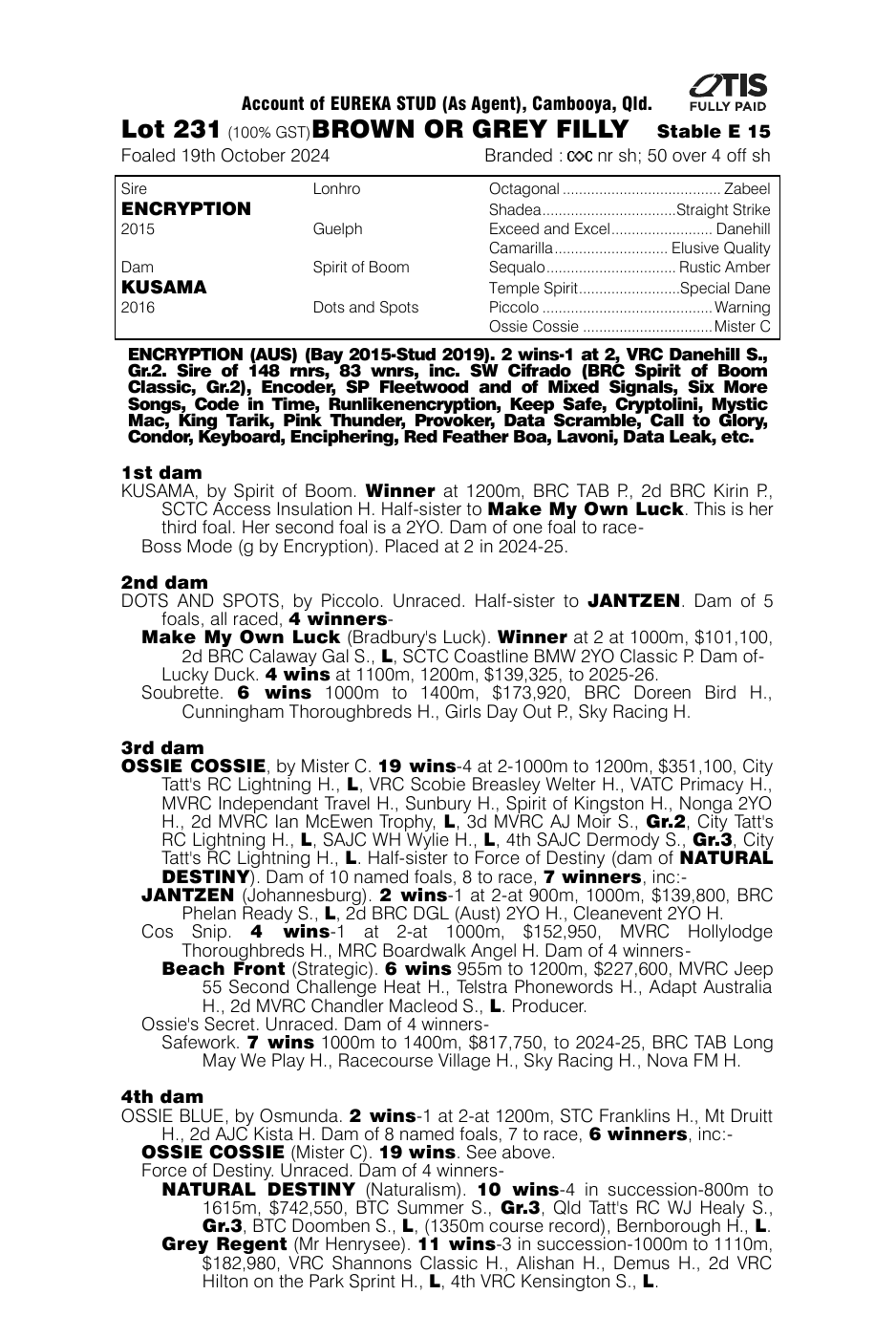Pedigree - Lot 231