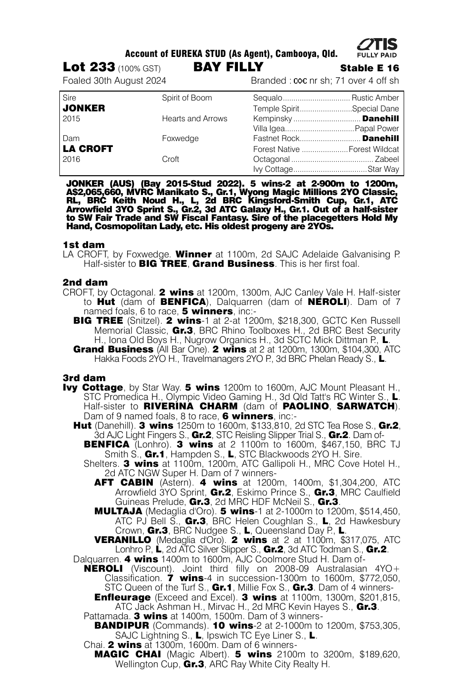 Pedigree - Lot 233