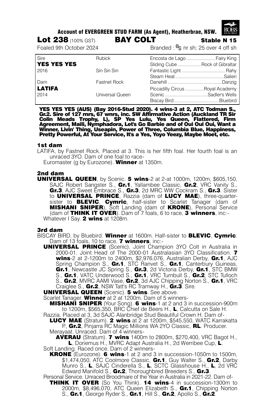 Pedigree - Lot 238