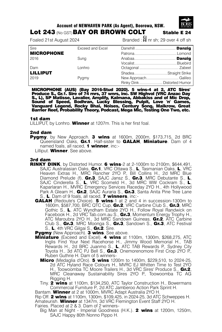 Pedigree - Lot 243