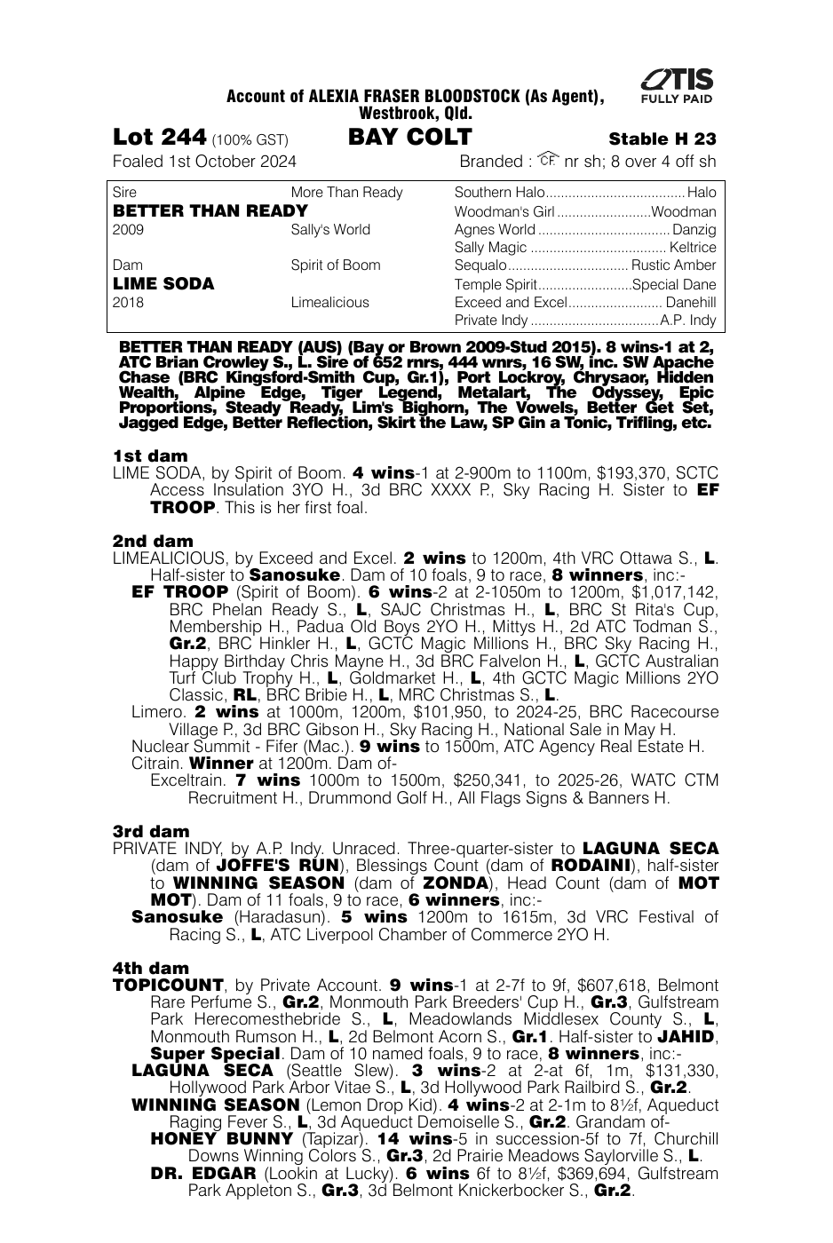 Pedigree - Lot 244