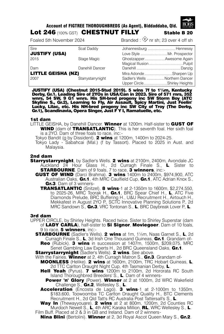 Pedigree - Lot 246