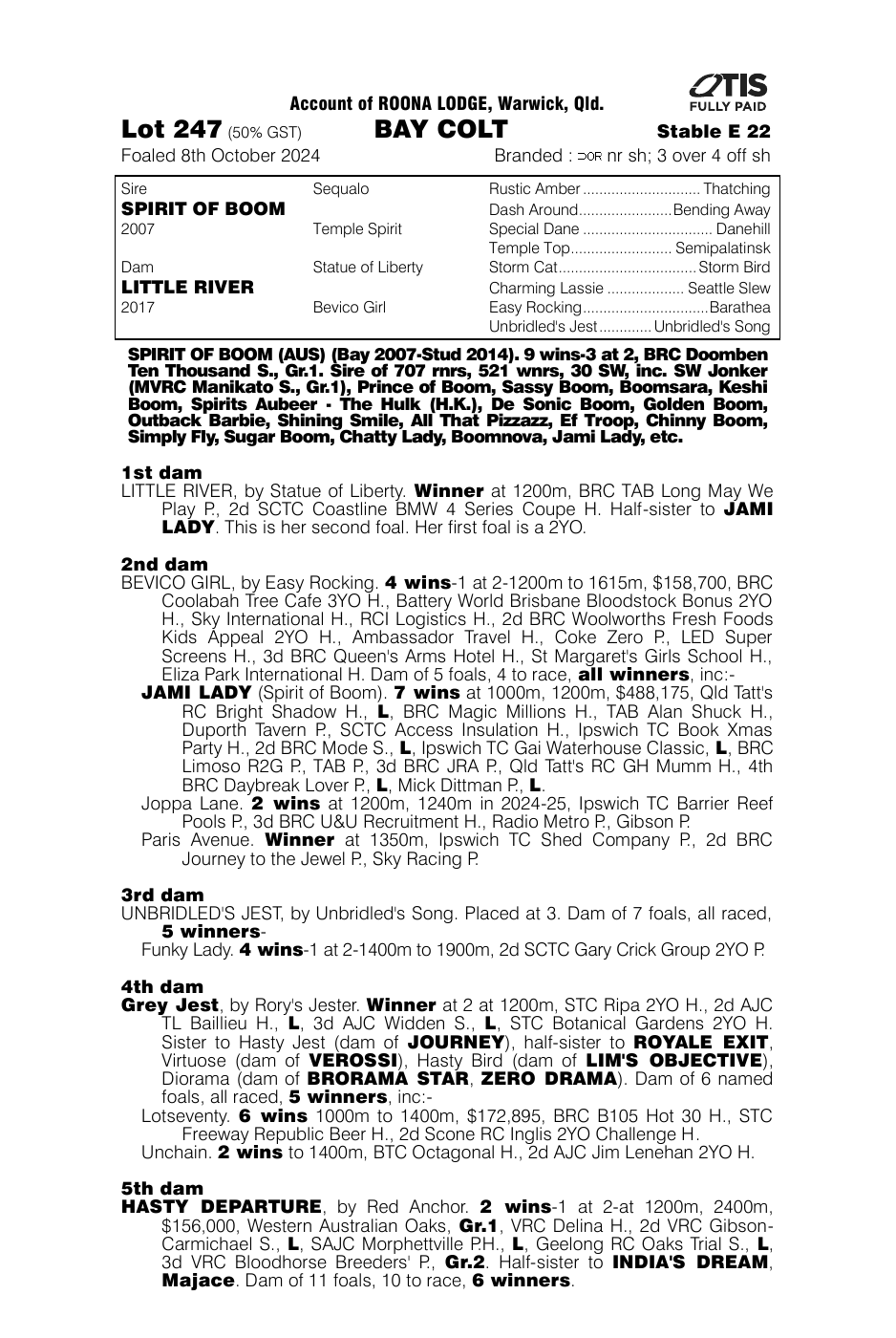 Pedigree - Lot 247