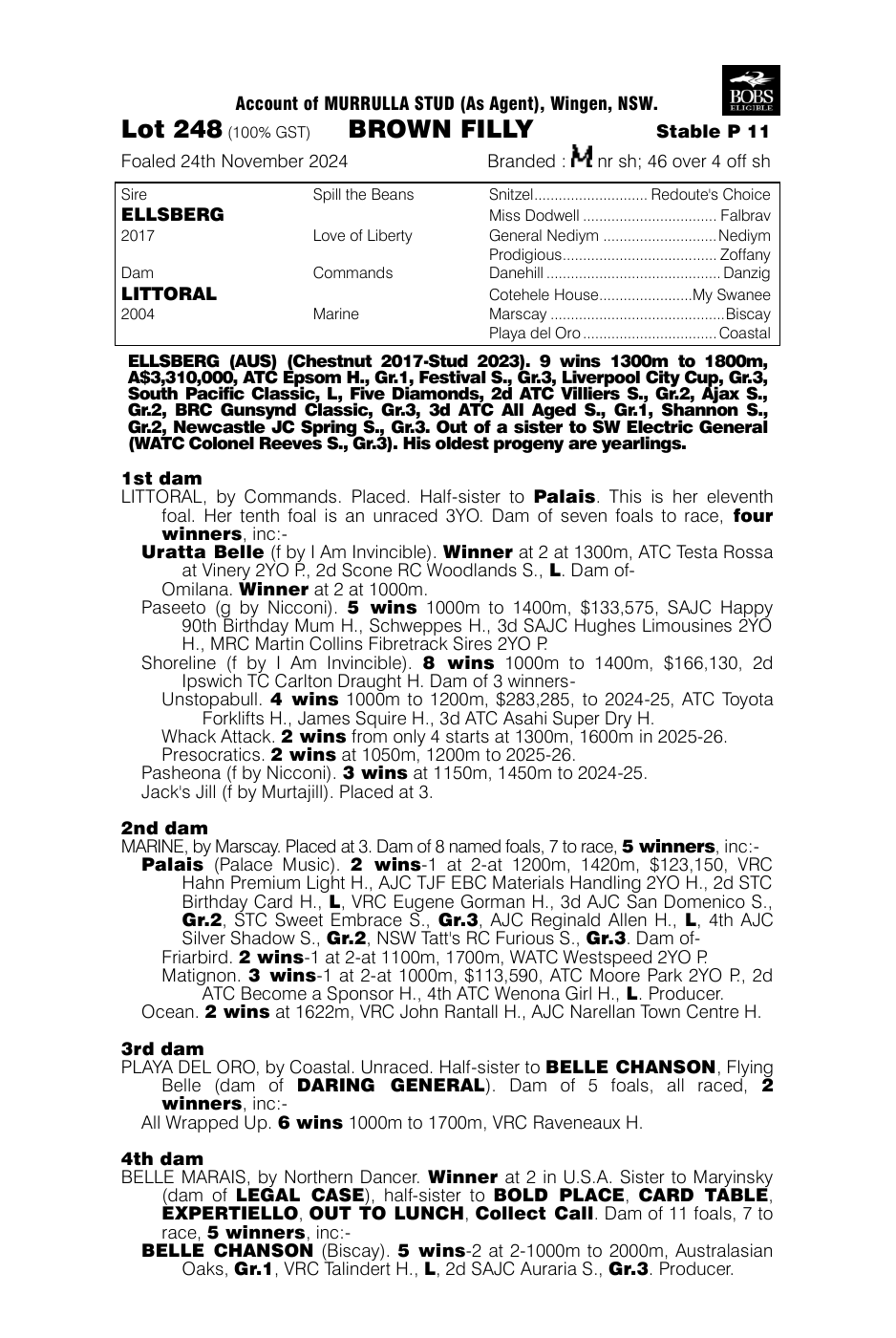 Pedigree - Lot 248