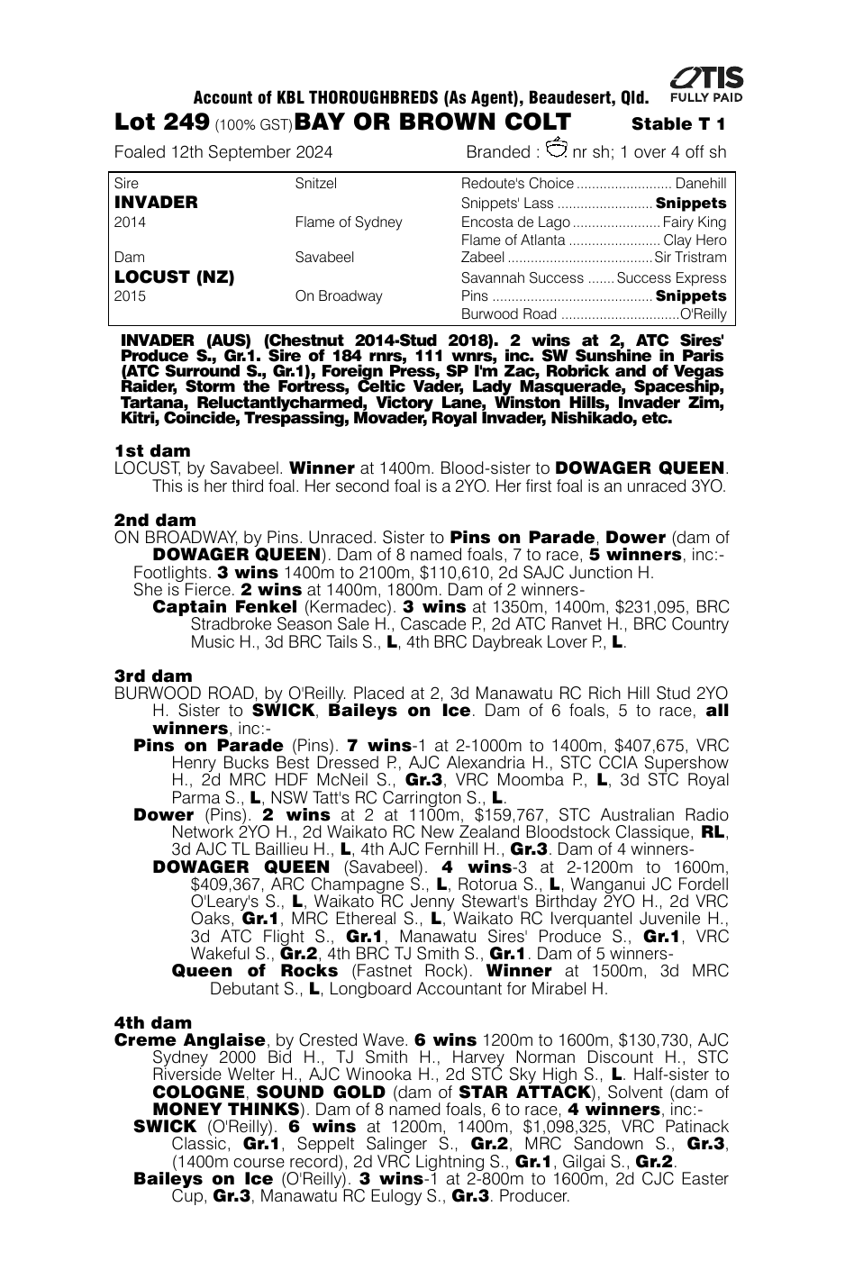 Pedigree - Lot 249