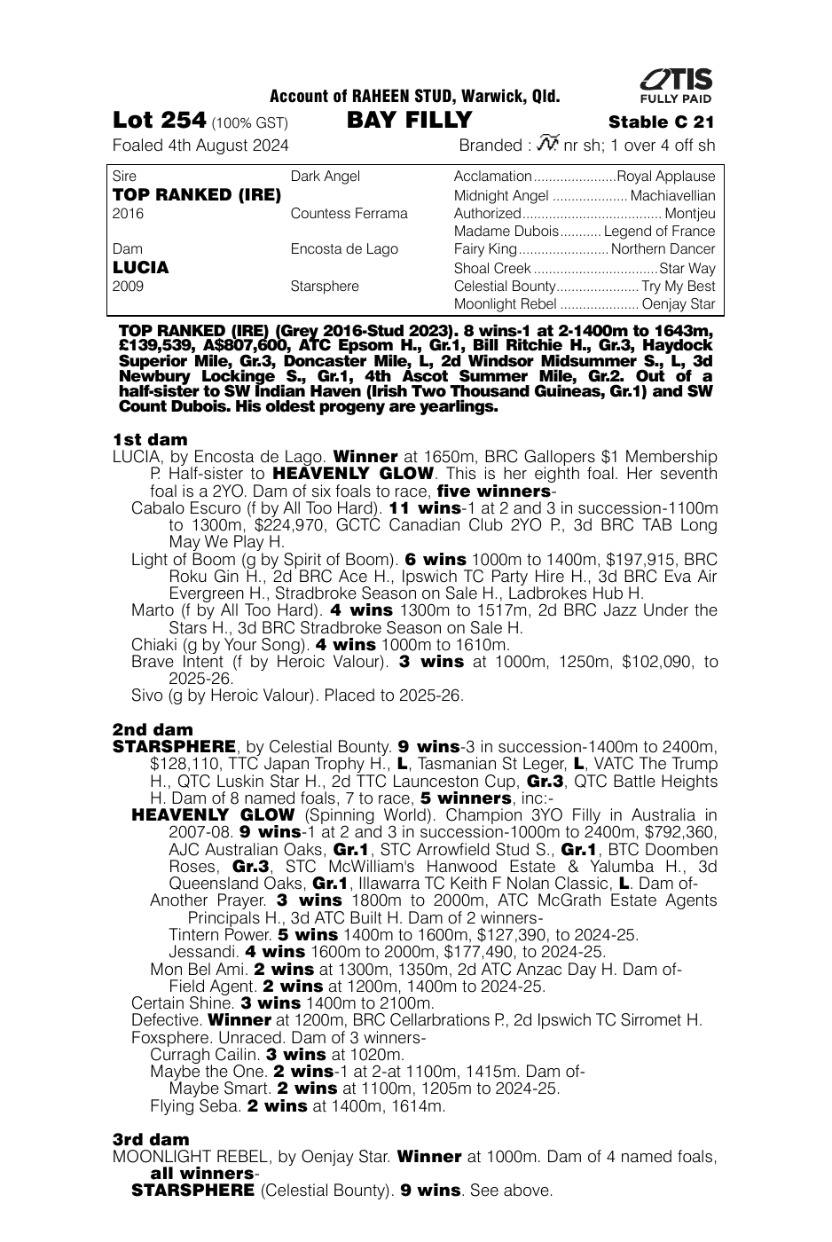 Pedigree - Lot 254