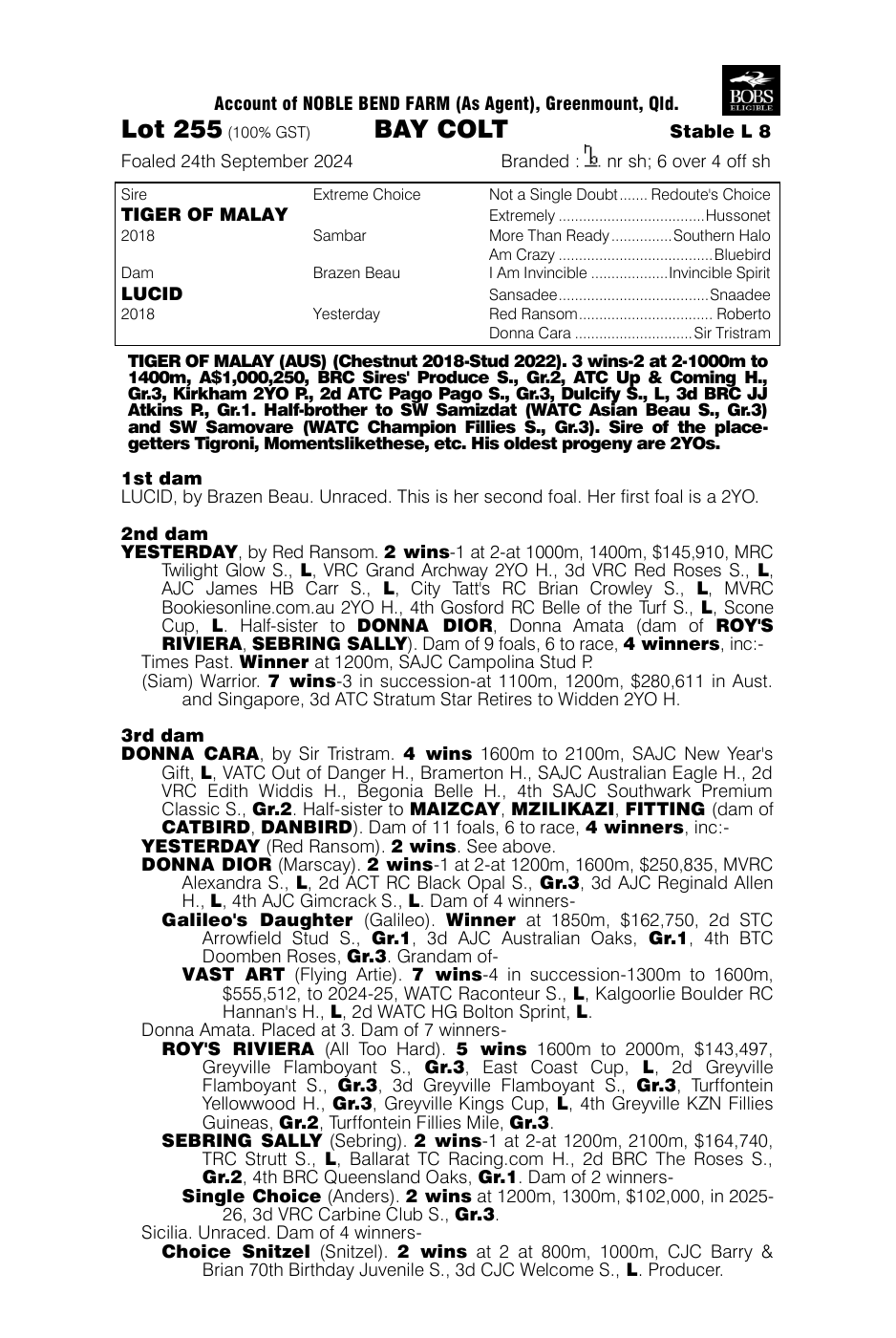 Pedigree - Lot 255