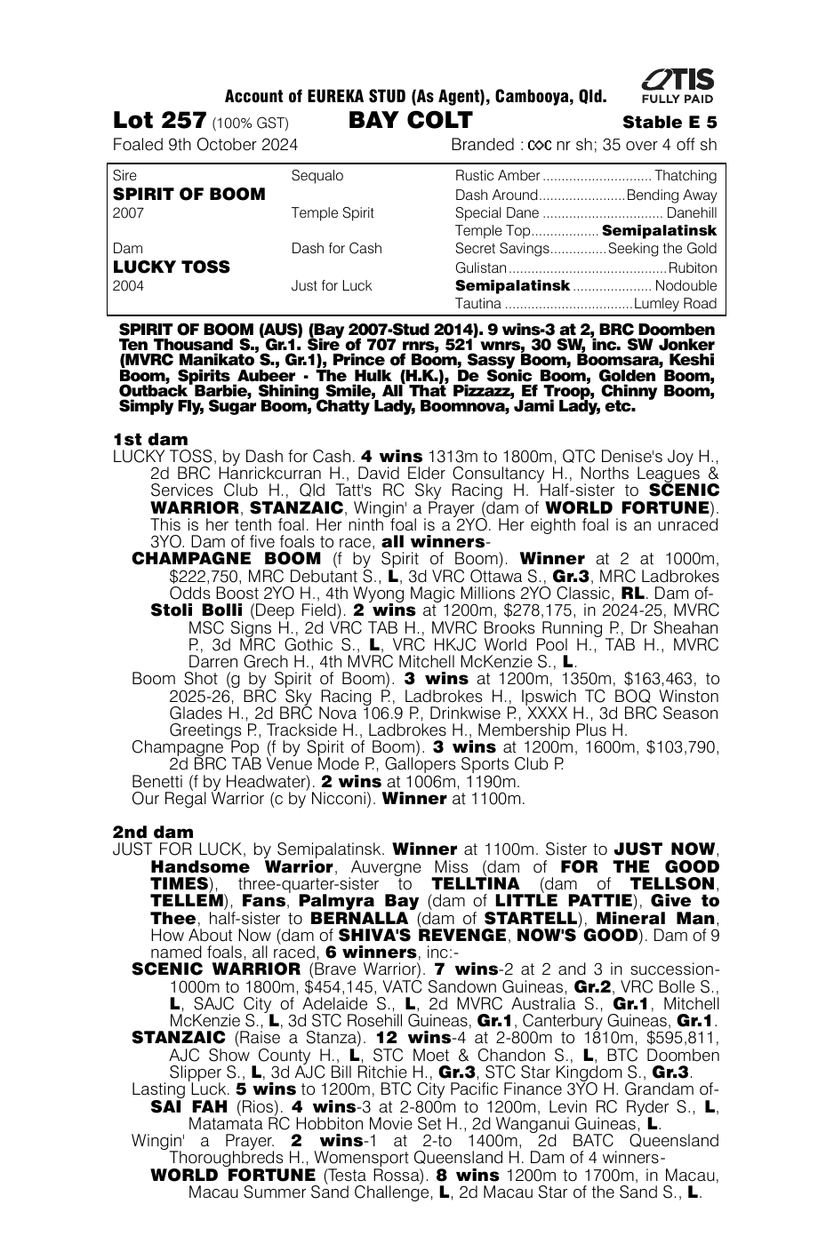 Pedigree - Lot 257