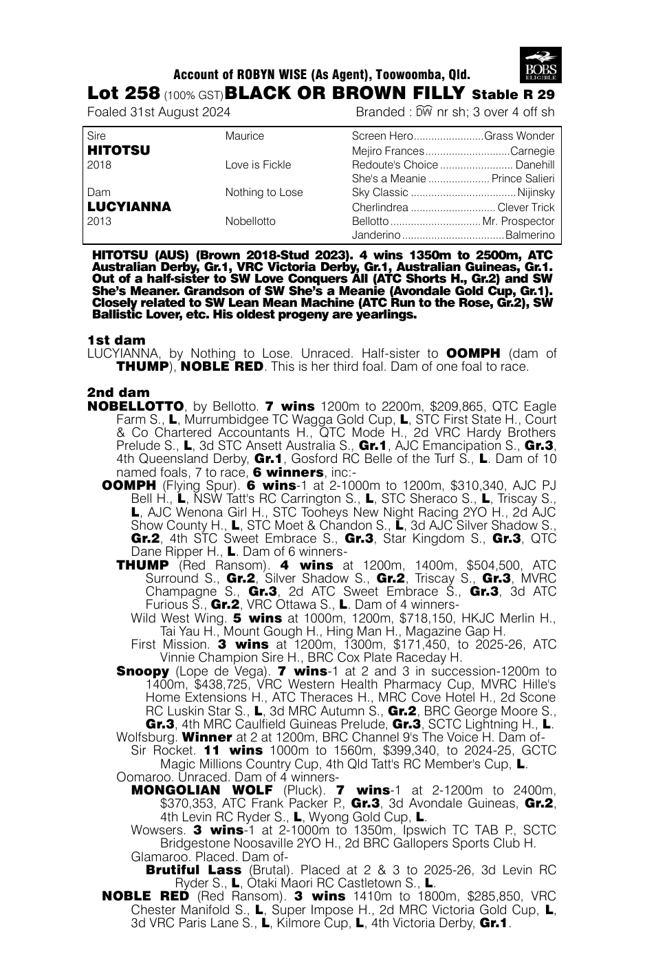 Pedigree - Lot 258