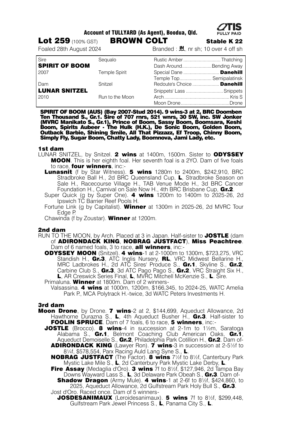Pedigree - Lot 259