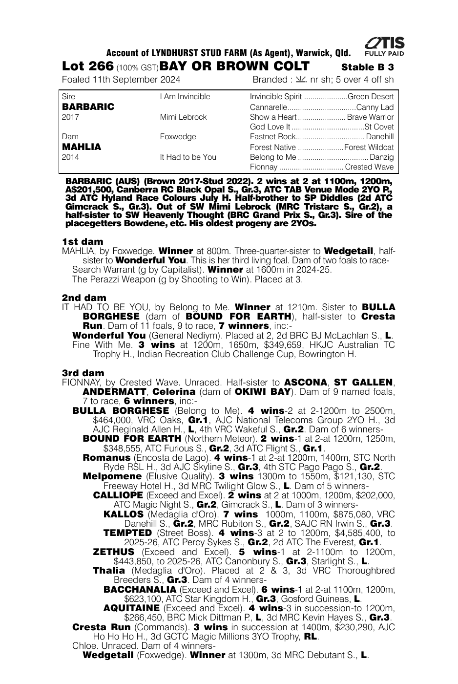 Pedigree - Lot 266