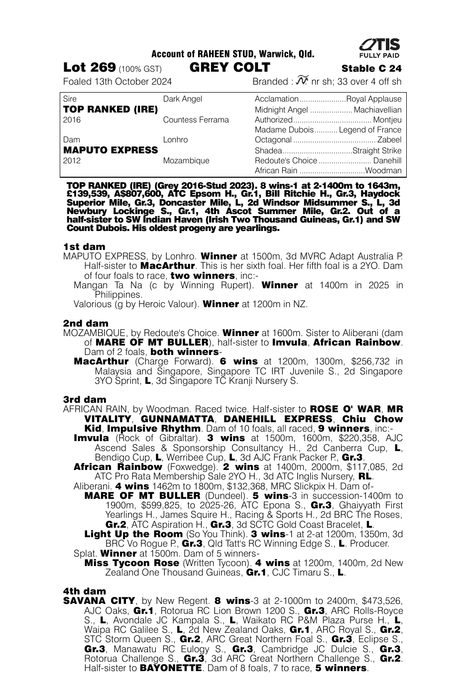 Pedigree - Lot 269