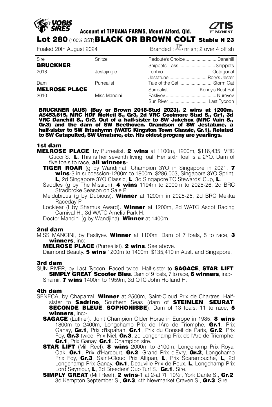 Pedigree - Lot 280