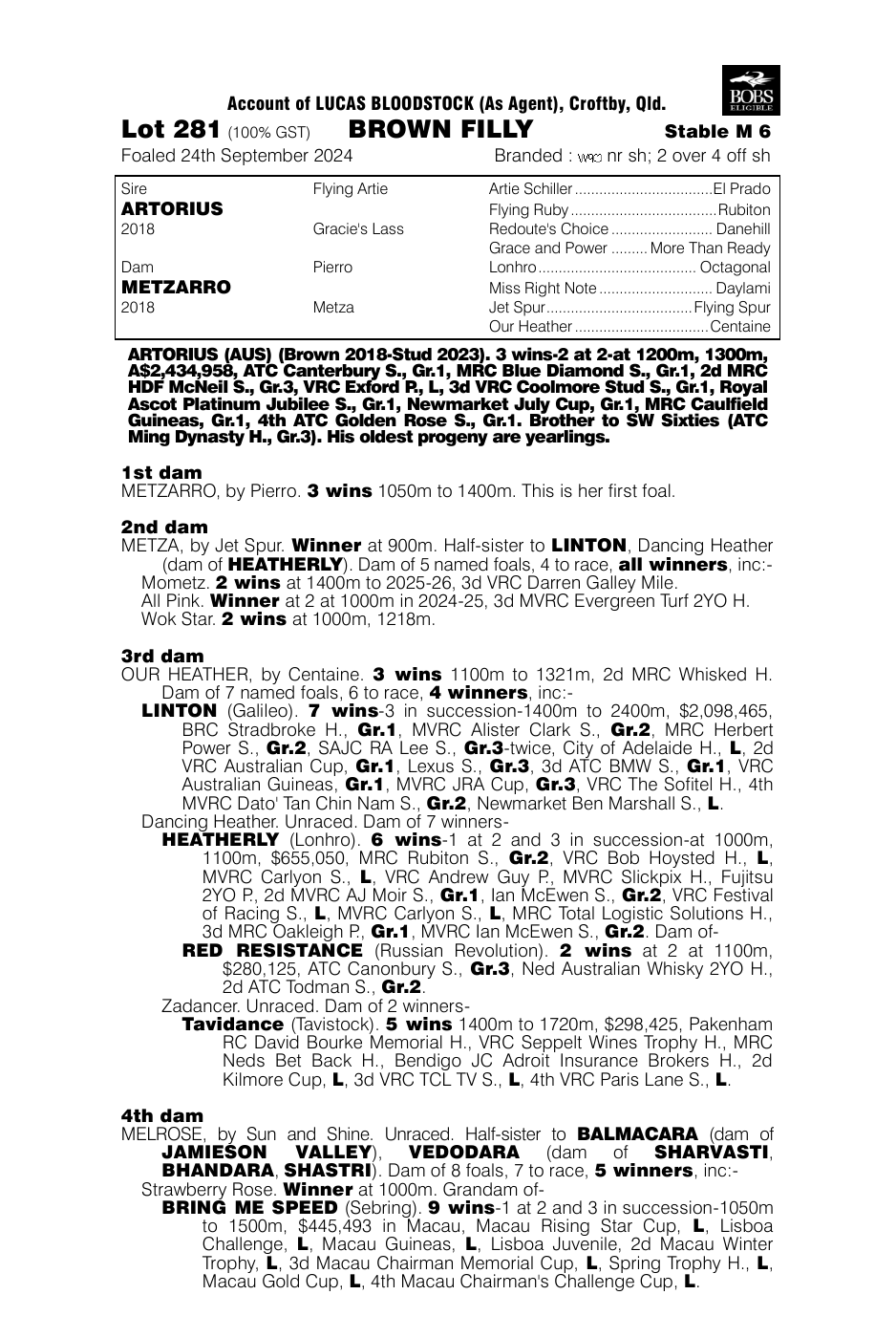 Pedigree - Lot 281
