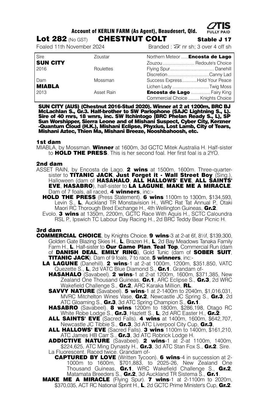 Pedigree - Lot 282