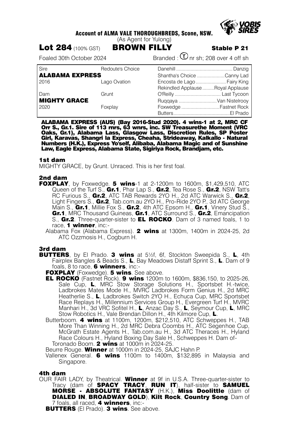 Pedigree - Lot 284