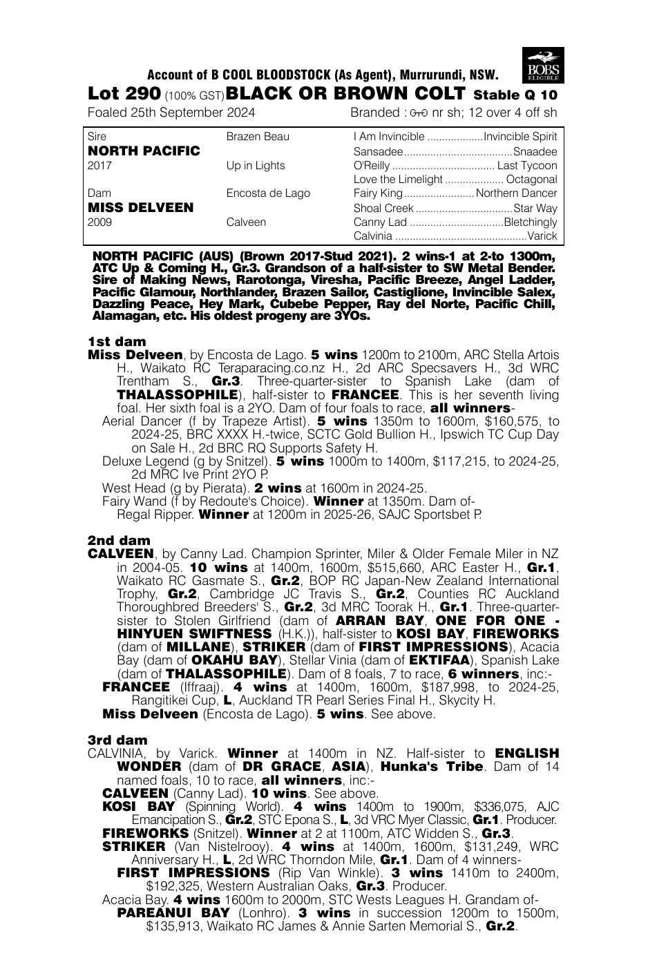 Pedigree - Lot 290