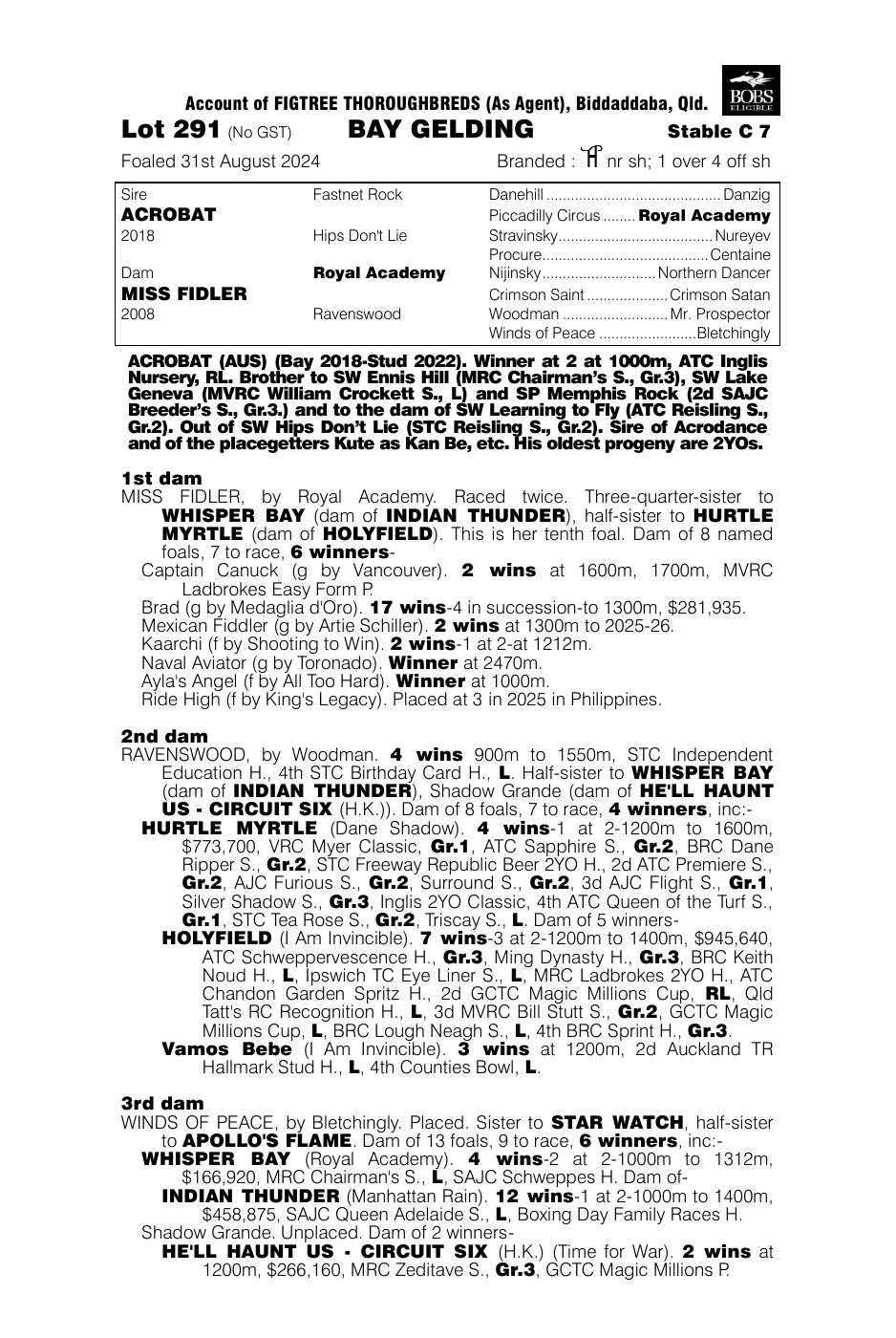 Pedigree - Lot 291