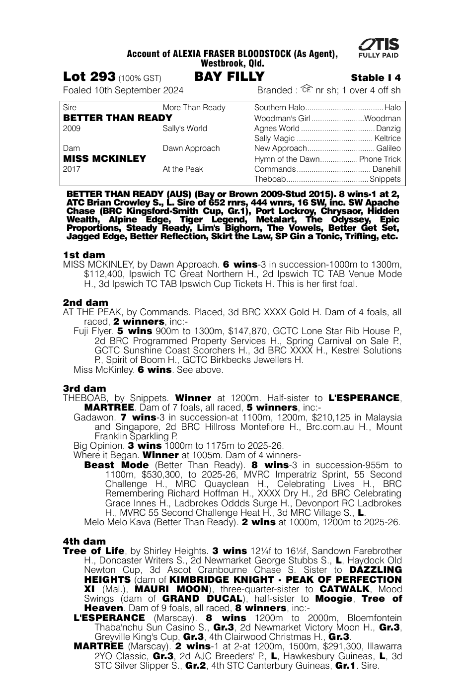 Pedigree - Lot 293