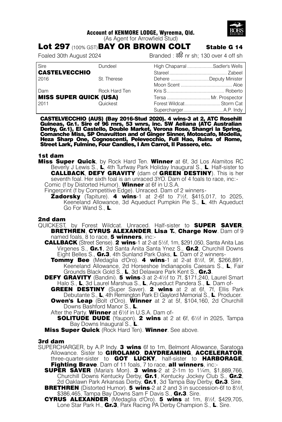Pedigree - Lot 297