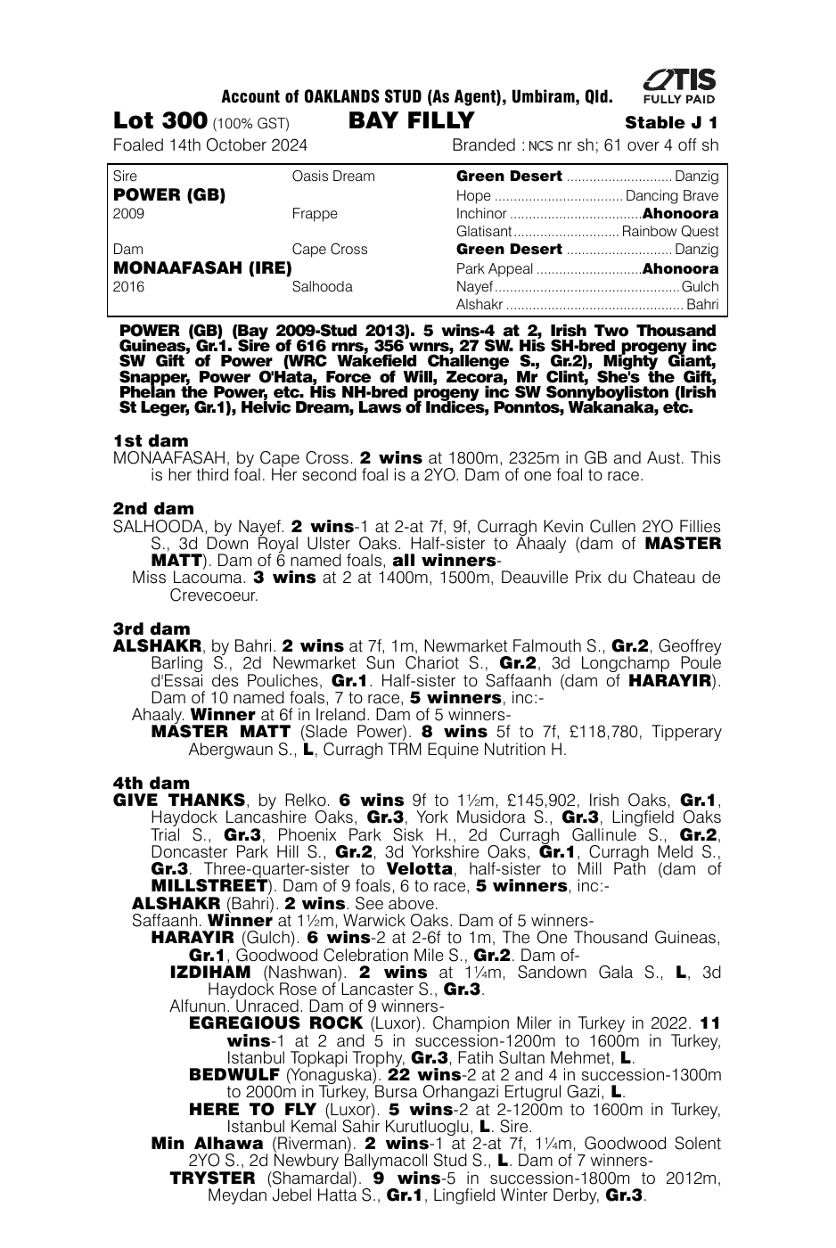 Pedigree - Lot 300
