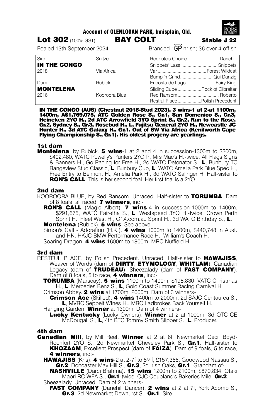Pedigree - Lot 302