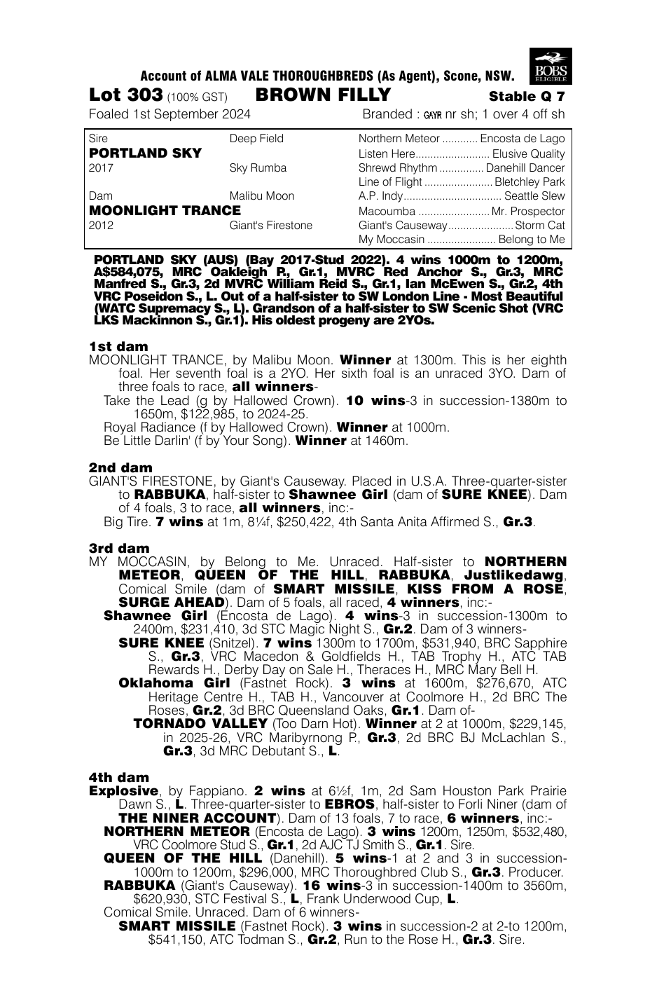 Pedigree - Lot 303