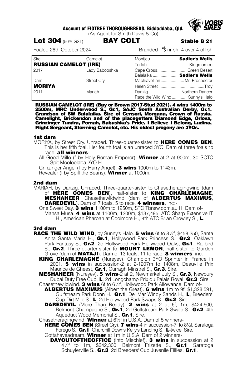 Pedigree - Lot 304