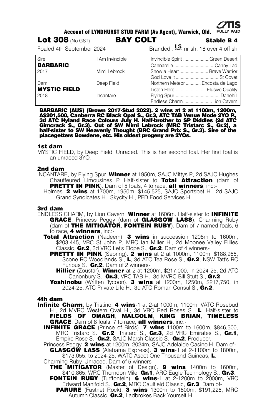 Pedigree - Lot 308