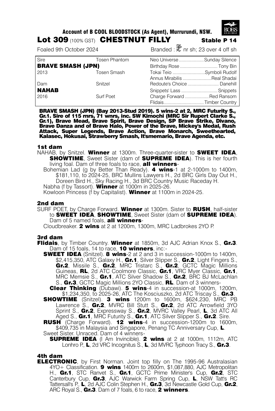 Pedigree - Lot 309