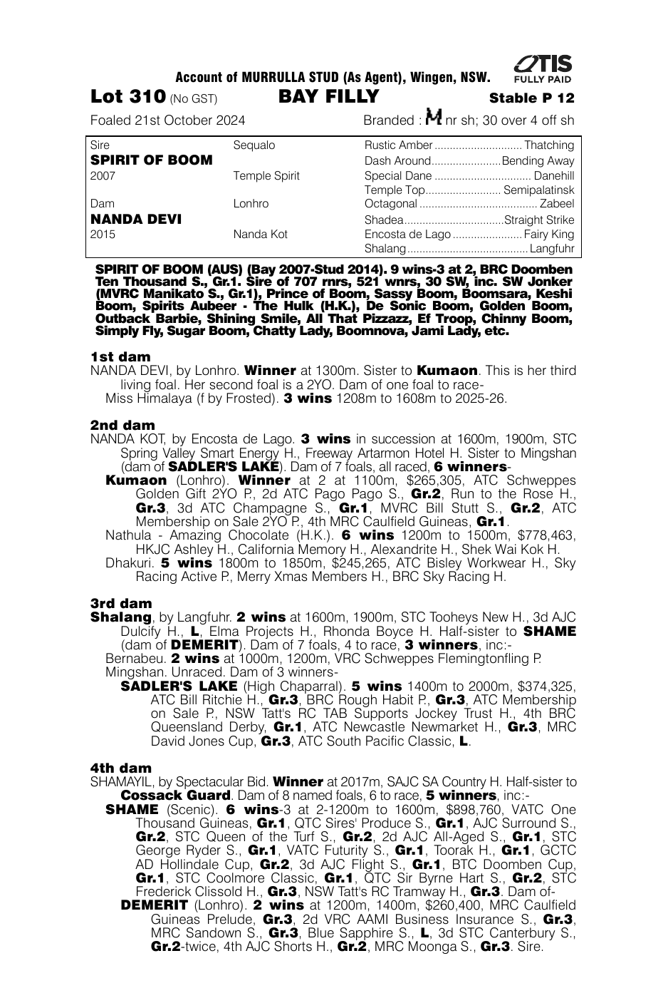 Pedigree - Lot 310
