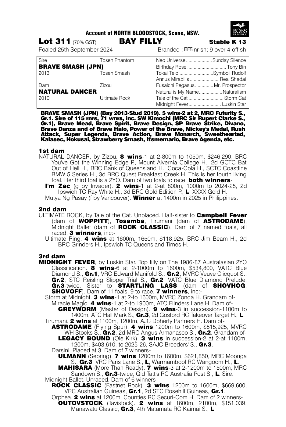 Pedigree - Lot 311