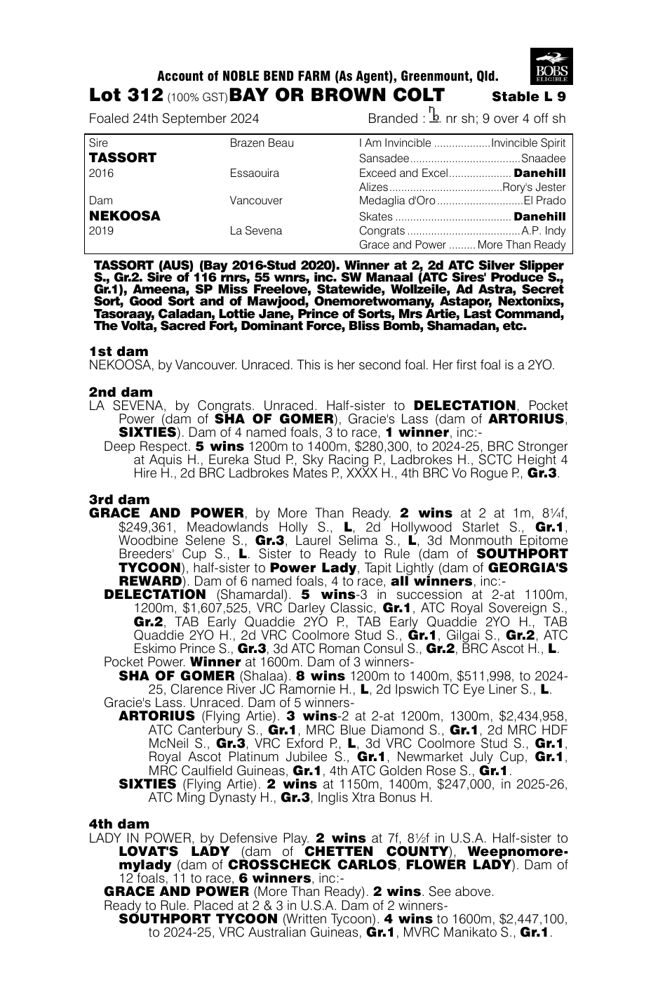 Pedigree - Lot 312